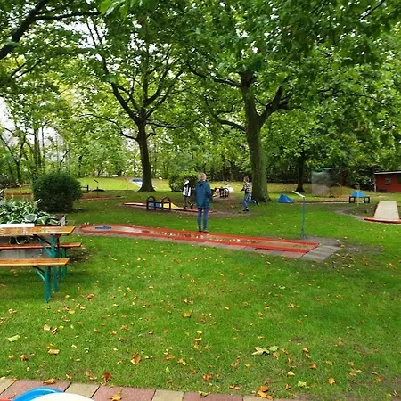 View Of